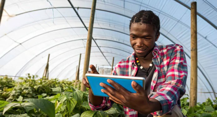 How Can Technology Drive Effective Inspection and Detection in Food and Beverage Manufacturing? – IT News Africa