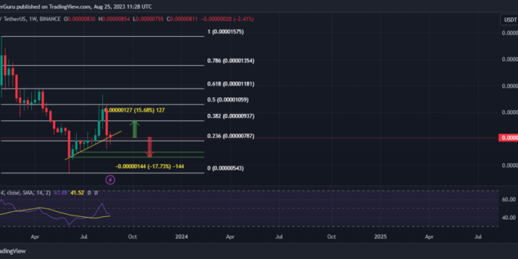 Is SHIB Primed to Rise 16% by Sept. 1, 2023?