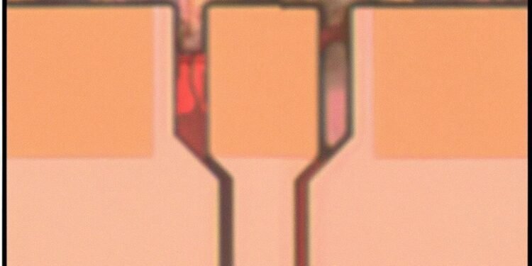 New detector paves the way to large-scale optical neural networks