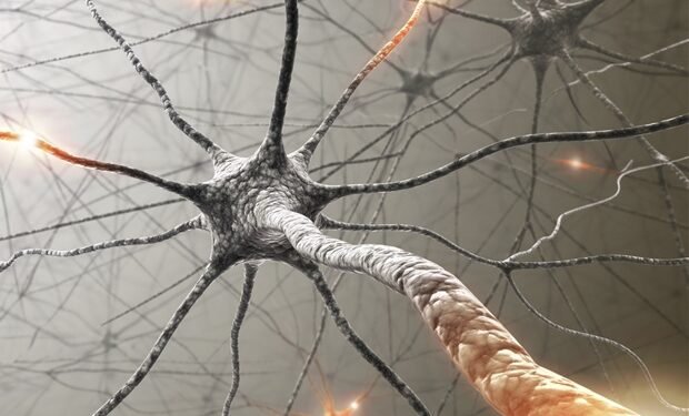 Researchers discover possible new biomarker of MS-like autoimmune disease
