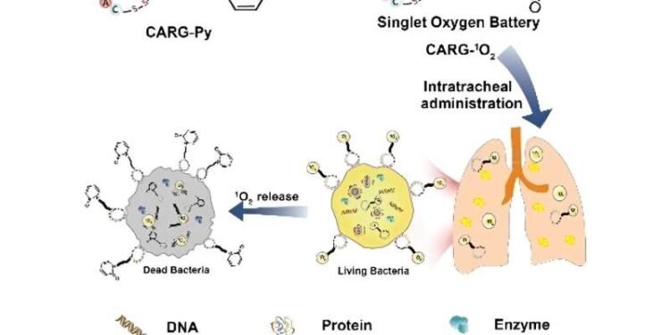 Researchers introduce singlet oxygen battery for battling multidrug-resistant pathogens