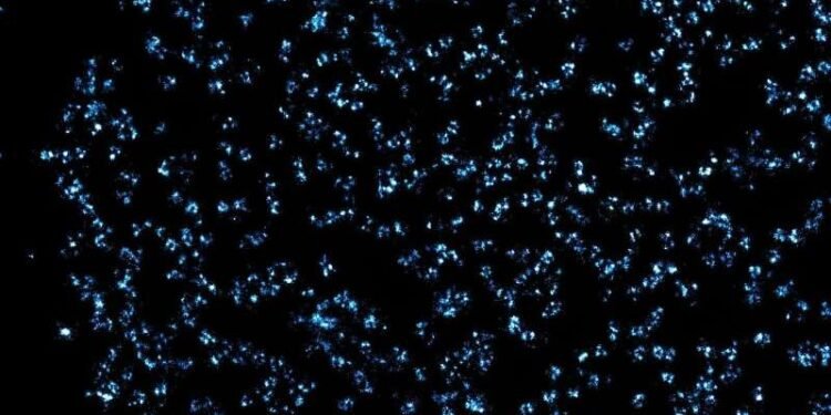 Researchers sharpen their focus on passages into the nucleus