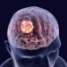 Salk scientists find new immunotherapy treatment for glioblastoma