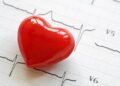 Scientists uncover new molecular targets for cardiovascular regulation