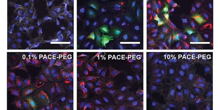 Sniffing nanoparticles loaded with mRNA could lead to advanced lung therapeutics