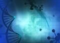 Study shows promise of gene therapy for alcohol use disorder