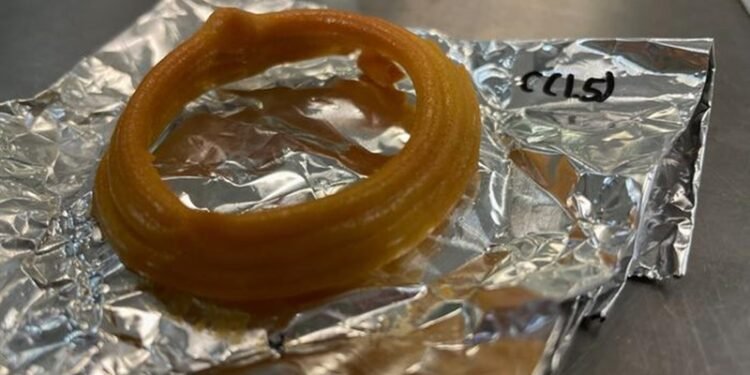 Sustainable, edible ‘squid rings’ 3D-printed with microalgae ink