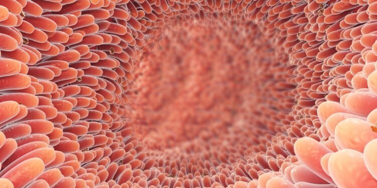 The interplay between immunity, the nervous system, and microbiota