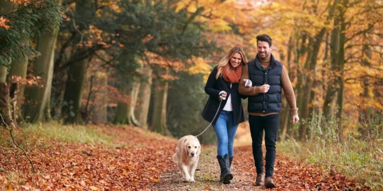 The mutual health benefits resulting from the relationship between owners and their dogs