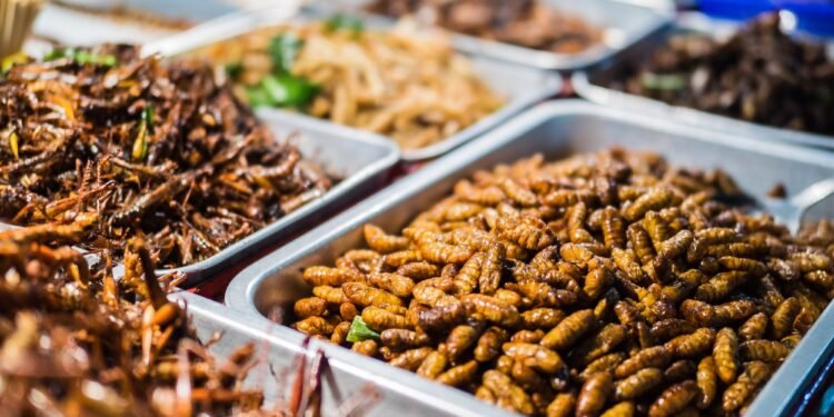 The past, present, and future of insects for human consumption