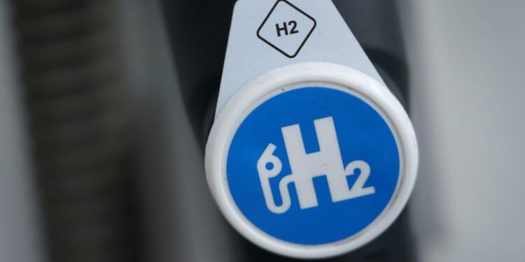 Hedge fund boss slams hydrogen bets as ‘complete waste of time’