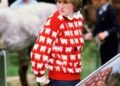 Princess Diana’s Famed Sweater Fetches $1 Million at Auction