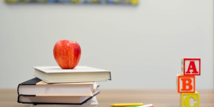 UN calls for age limits for AI tools in schools