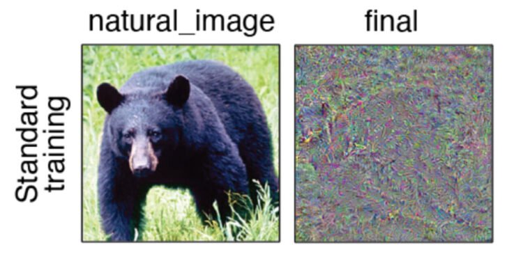 Deep neural networks don’t see the world the way we do