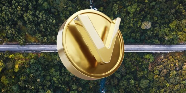 Mid-October Price Prediction for VET
