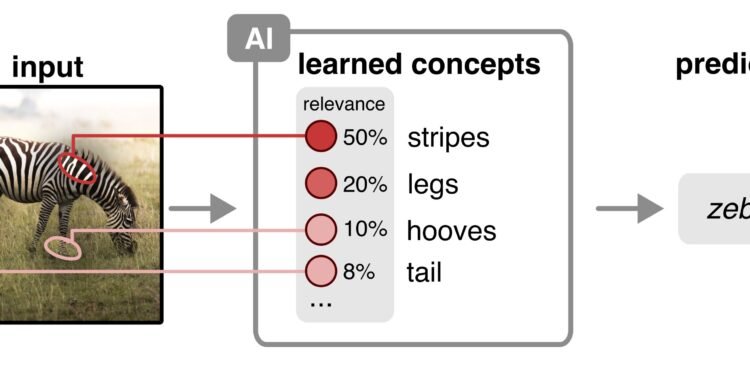 Study presents new method for explainable AI