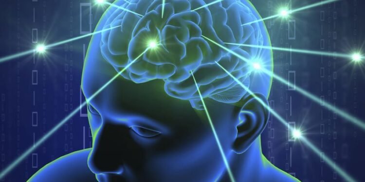 AI system self-organizes to develop features of brains of complex organisms