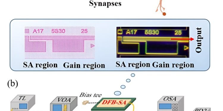 Multi-synaptic photonic spiking neural networks based on a DFB-SA chip