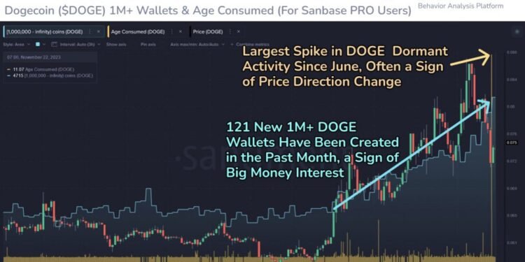 Surge in Movement and Whale Activity