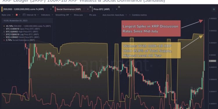 XRP Hits 3-Month High as Attorney Predicts 99.9% Win in SEC Lawsuit