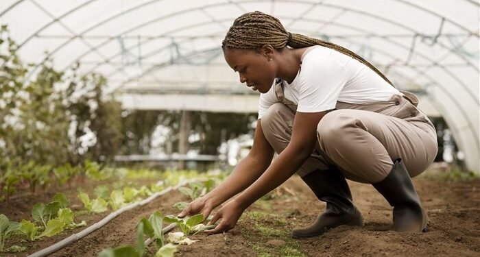 Investing in solutions to maximise farm-level productivity