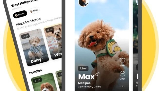 TechCrunch’s favorite apps of 2023