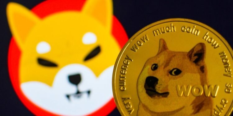Will Shiba Inu (SHIB) Overtake Dogecoin (DOGE) in 2024?