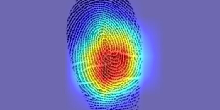 AI discovers that not every fingerprint is unique