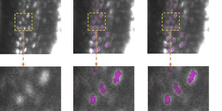 New open-source software makes AI models lighter, greener