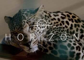 Saudi Arabia’s Ministry of Media launches Horizon documentary on Netflix, about wildlife in the Kingdom
