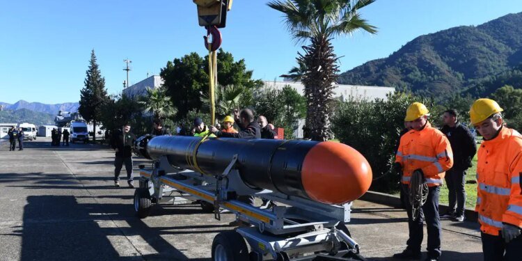 Turkey Completes AKYA Torpedo Test From Preveze Submarine