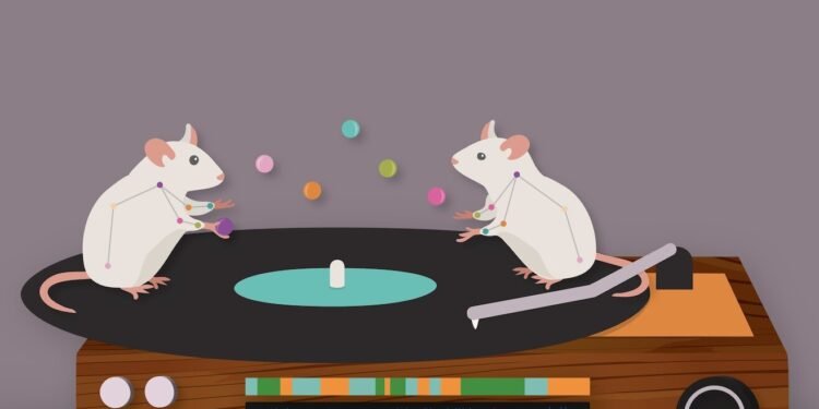 Artificial intelligence recognizes and learns to predict patterns in behavior from video