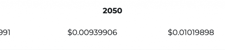 Cryptocurrency of the Future or Passing Fad?