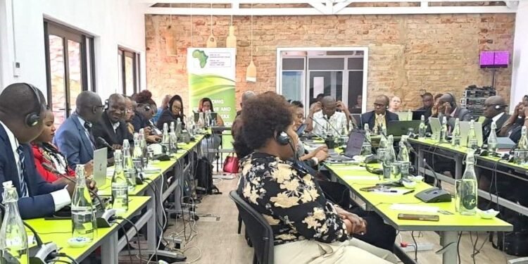 Africa’s tax authorities unite for knowledge exchange at ATAF workshop