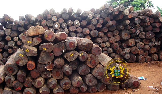 Despite Ban, China Bankrolls Rosewood Logging in Northern Ghana