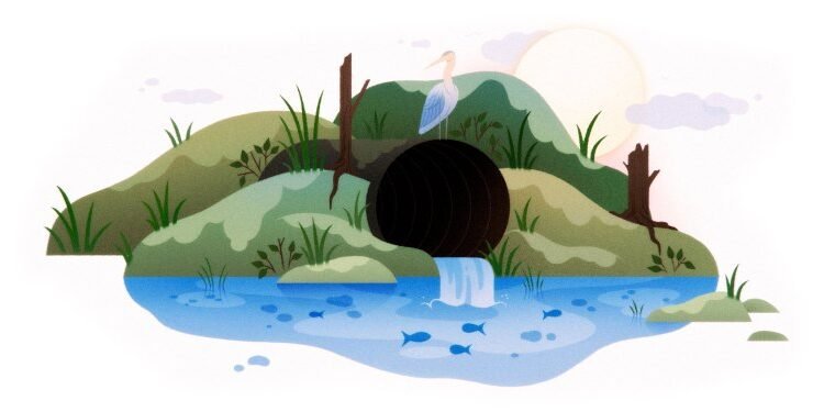Fixing culverts can save migratory fish