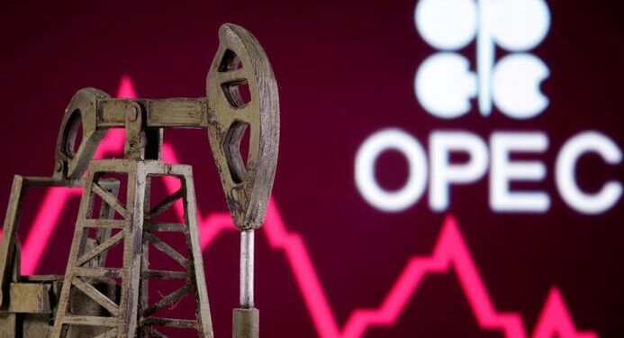 OPEC February oil output rises on Libya rebound