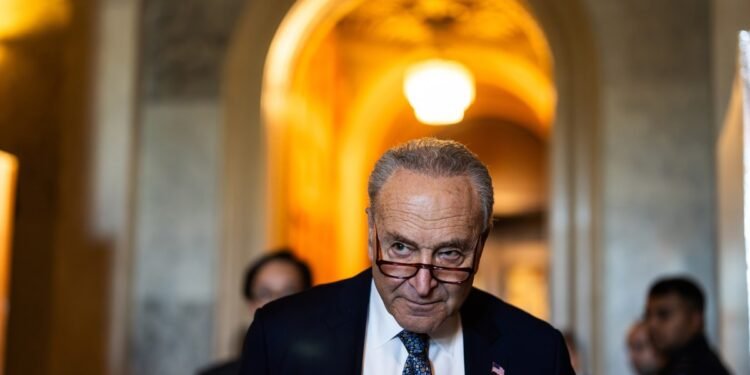 Pro-Israel Right Outraged by Chuck Schumer’s Netanyahu Speech