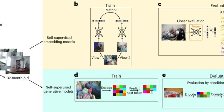 Training artificial neural networks to process images from a child’s perspective