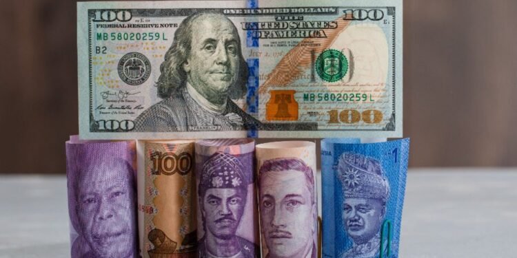 US Dollar-Dominated World Will End Soon, Says BRICS Ambassador