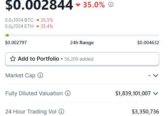 Why is HEX Cryptocurrency Crashing 36% Despite the Bull Run?