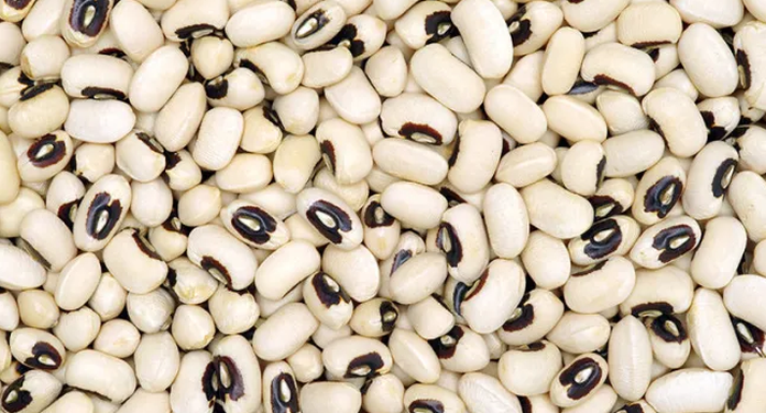 Guyana to save over $150M on crop imports by 2025, says president Ali