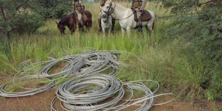 SANDF’s anti-illegal mining and national key point protection deployments extended