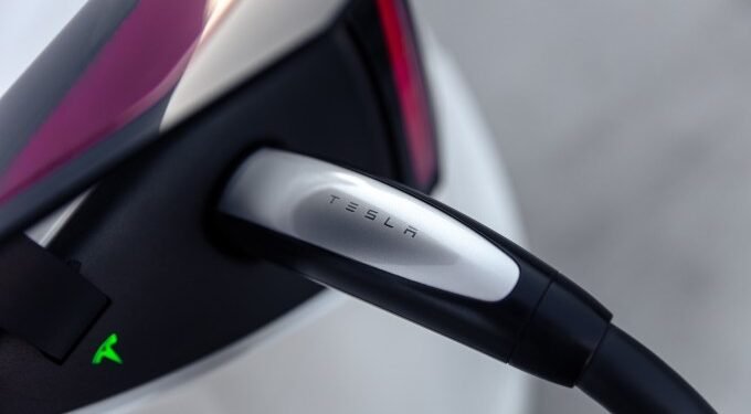 Tesla’s profitable Supercharger network is in limbo after Musk axed the entire team