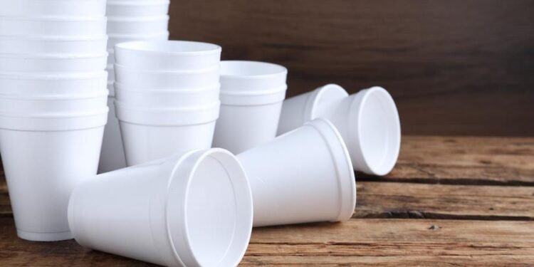Abu Dhabi ban on some Styrofoam products comes into effect on 1st June