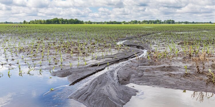 Everything’s About to Get a Hell of a Lot More Expensive Due to Climate Change