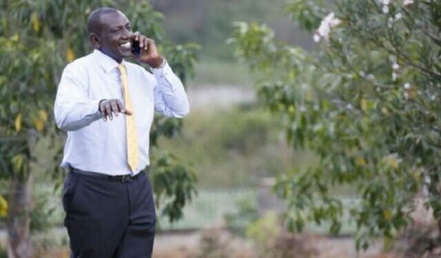Kenyans Online Share Ruto, MPs’ Phone Numbers