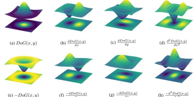 Researchers investigating how AI categorizes images find similarities to visual systems in nature