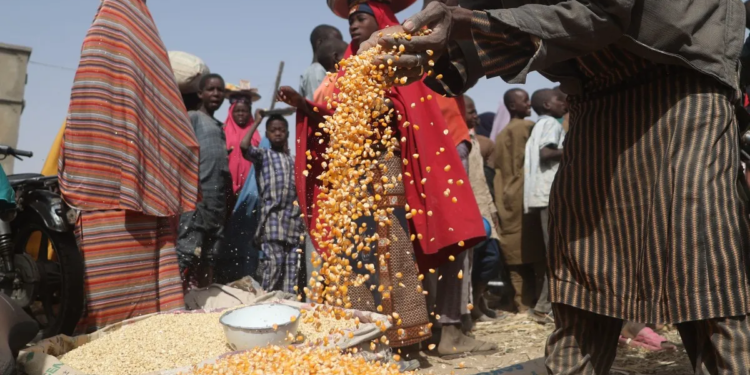 See the African countries predicted to suffer most from hunger in 2024