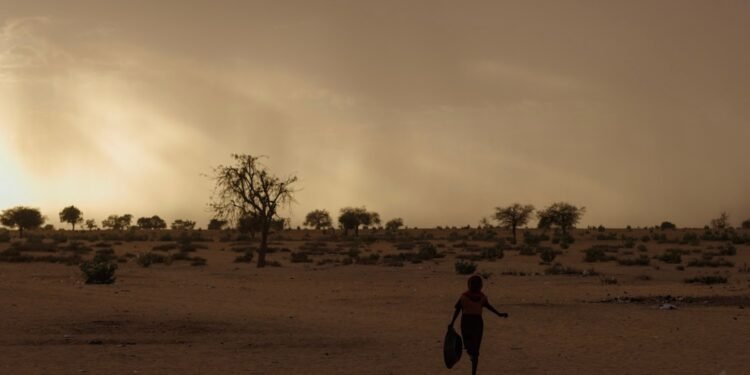 Sudan’s RSF Is Carrying Out Atrocities in El Fasher. The United States Can Stop the Killing.